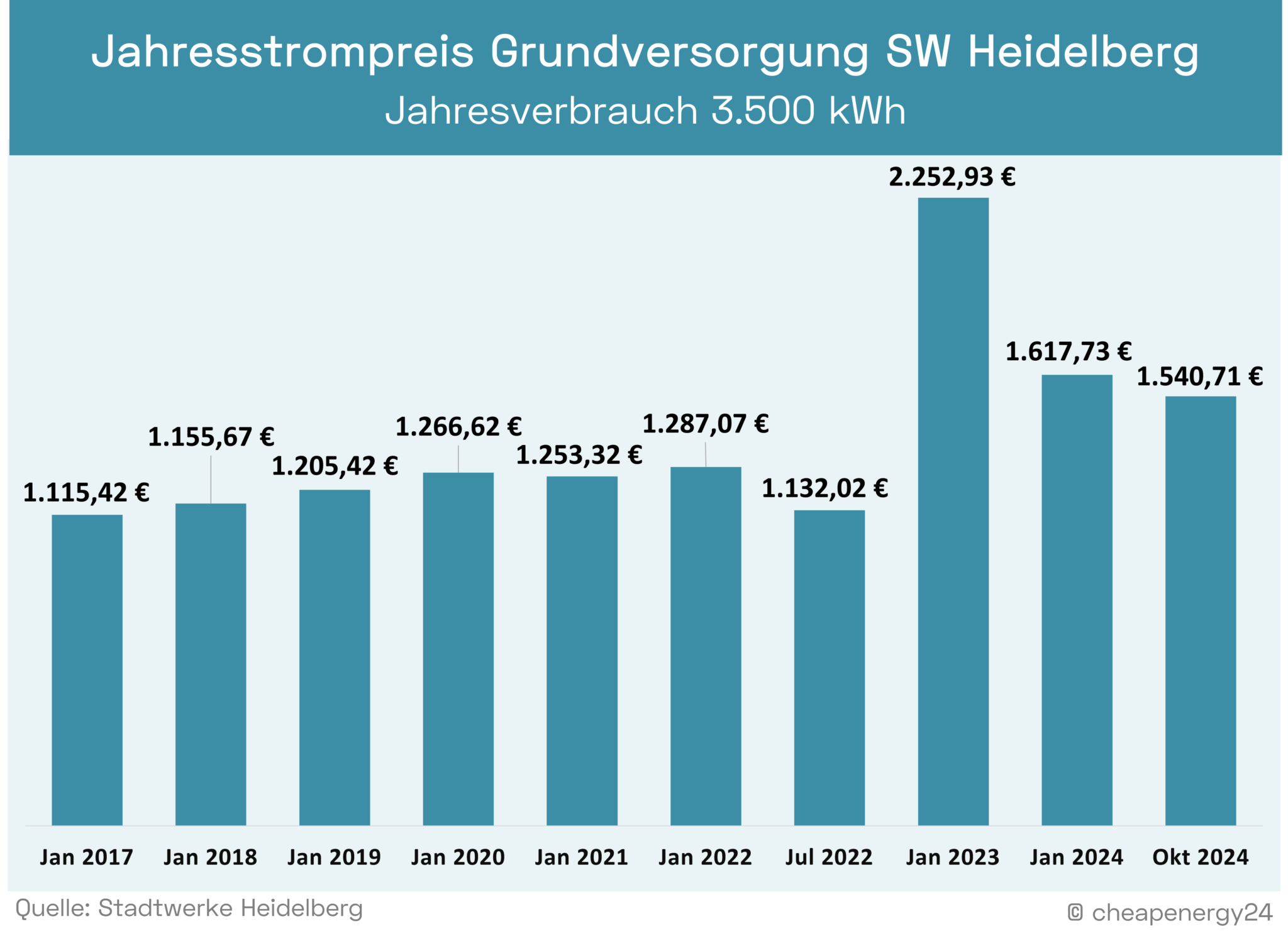 Grundversorgung Stadtwerke Heidelberg