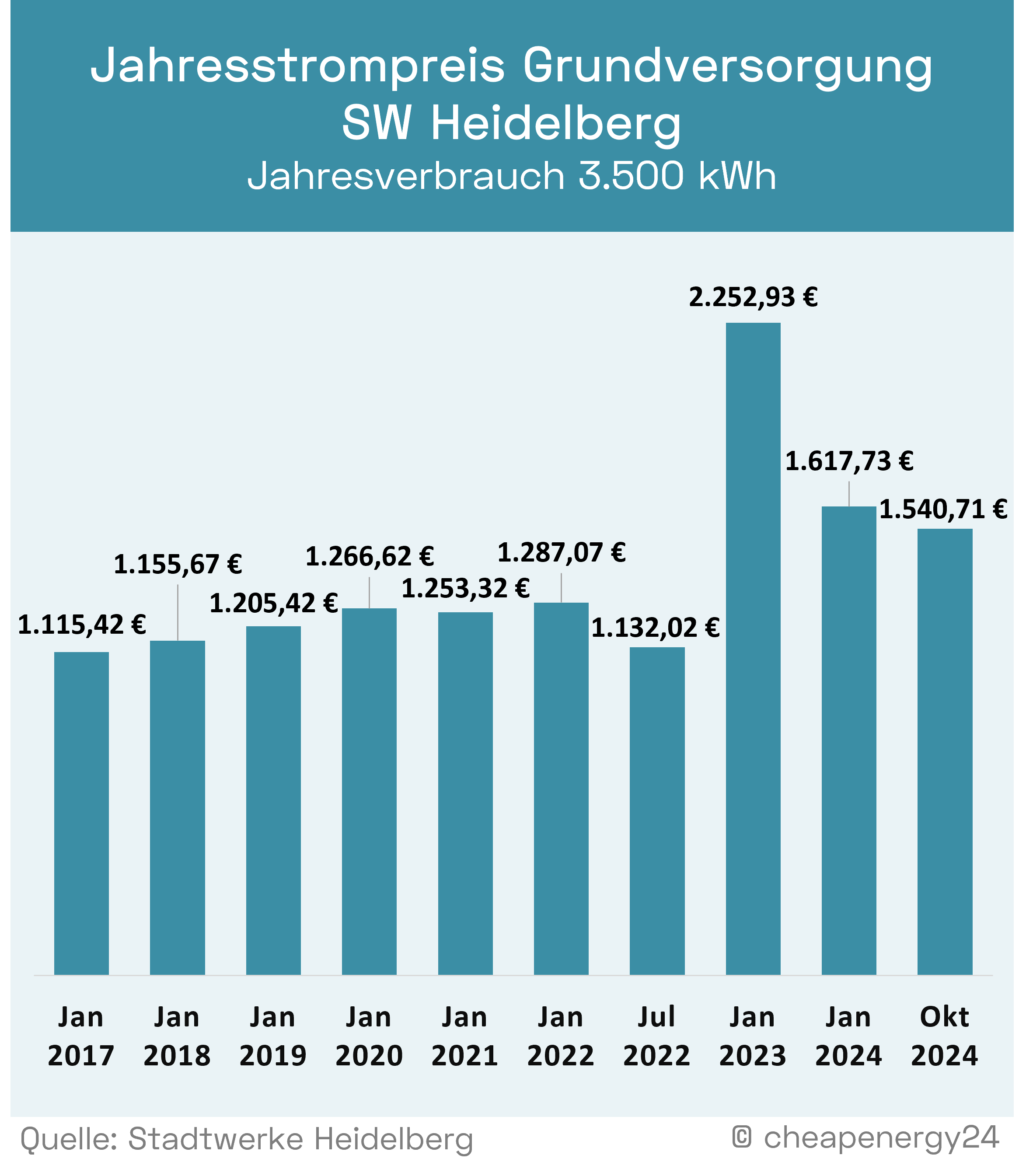 Grundversorgung Stadtwerke Heidelberg